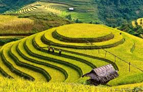 Northern Grand Loops: Sapa, Dong Van & Ha Giang