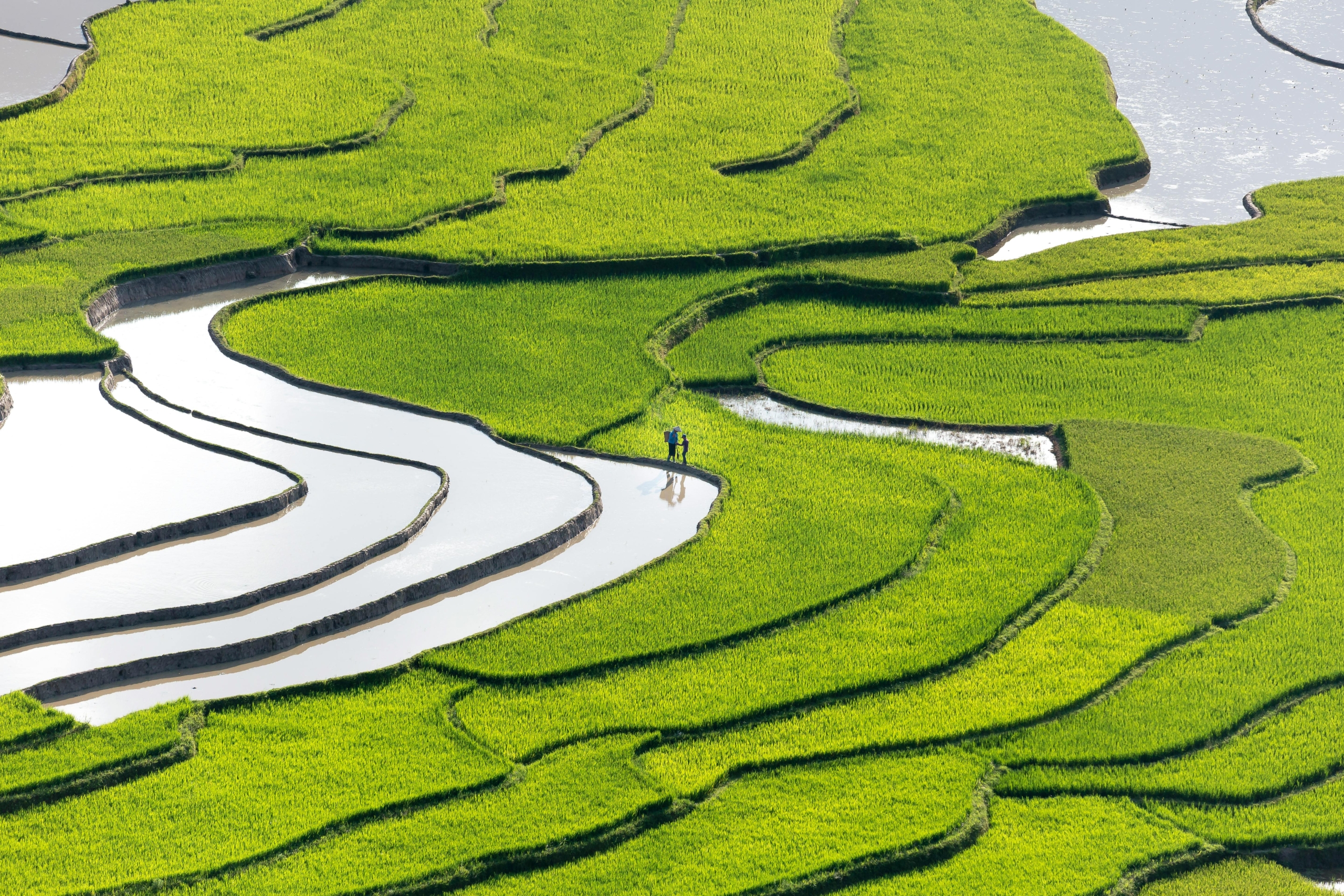 Northern Grand Loops: Sapa, Dong Van & Ha Giang - Luxury Tour Vietnam | HanoiMICE